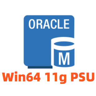 Oracle11g for windows x64补丁集p31169916补丁包-2020年4月14日更新